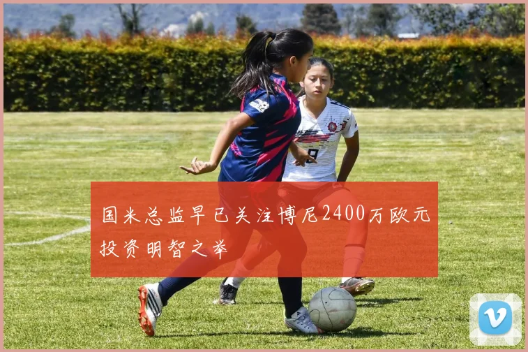 国米总监早已关注博尼2400万欧元投资明智之举