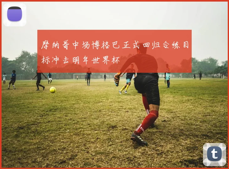 摩纳哥中场博格巴正式回归合练目标冲击明年世界杯