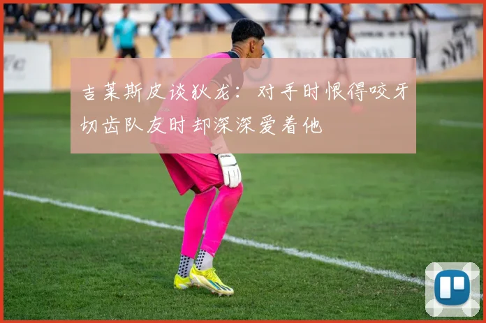 吉莱斯皮谈狄龙：对手时恨得咬牙切齿队友时却深深爱着他