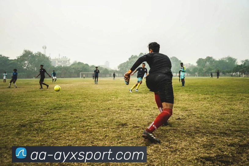 爱游戏体育品牌故事